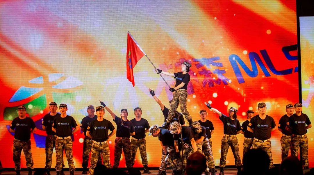 ��������(�й�VIP��֤)�ɷ����޹�˾