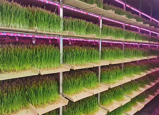 �½���������ݹ�����ģ��Ŀ