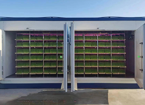 ���ִ��⼯�����ݹ���