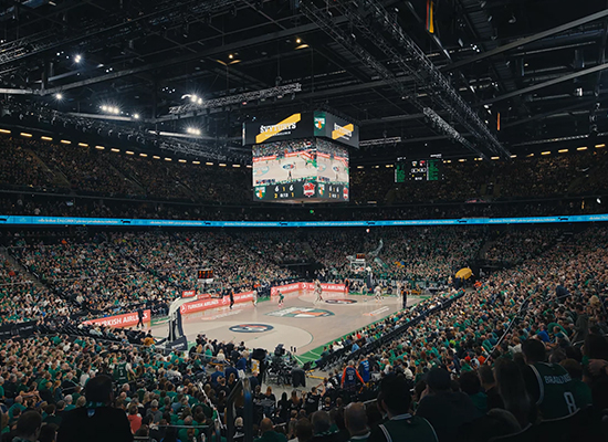 ������ ?ALGIRIS ������