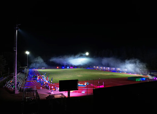 ������ Vingis ������