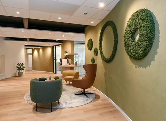 ���� Krijtland Wonen �칫����������