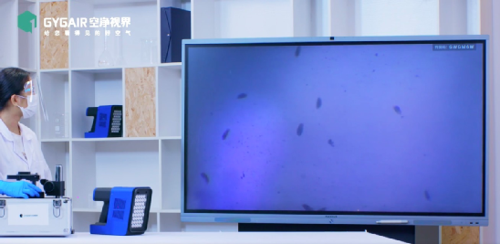 ��������(�й�VIP��֤)�ɷ����޹�˾